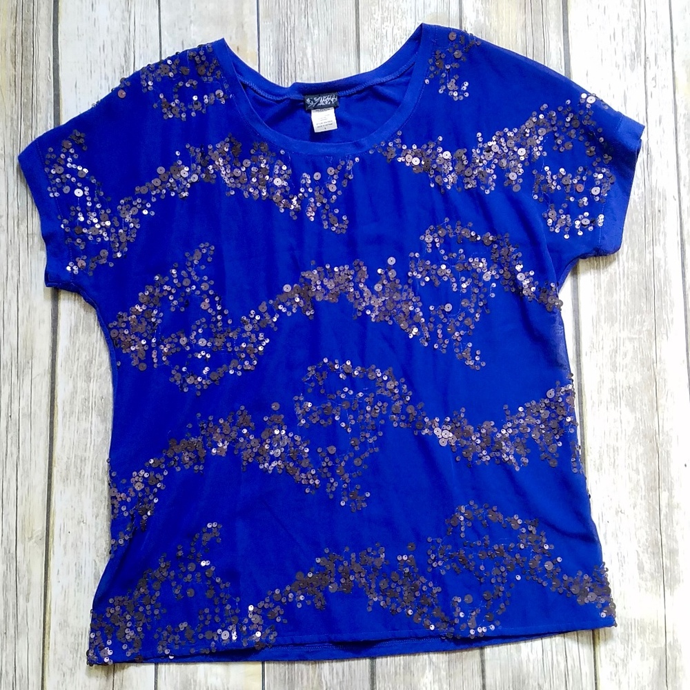 BKE Sequined Blue/Grey Top LARGE